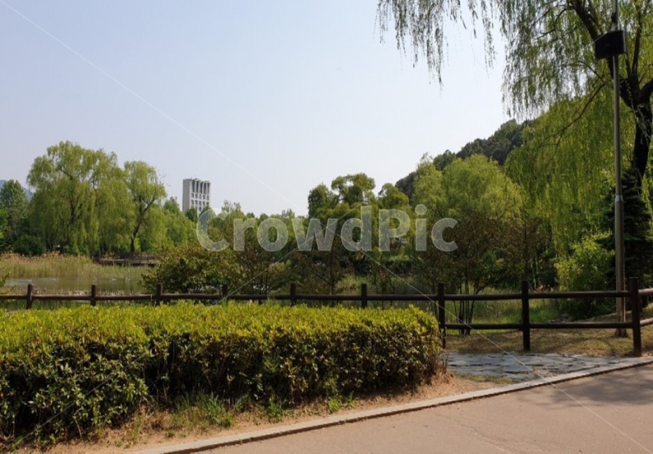 풍경,하늘,연못,맑음,산책
