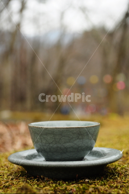 찻잔,차,자연,자기세트,찻잔세트,나무,숲속,산속,한국전통,한국문화,korean traditional,korean culture,사물,물건,오브젝트,thing,object,matter