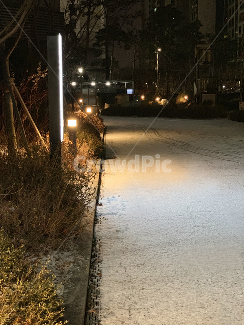 눈,겨울눈,밤,winter,겨울밤,눈쌓인,snow,winternight,wintersnow,cold,추위,집앞,마당,풍경