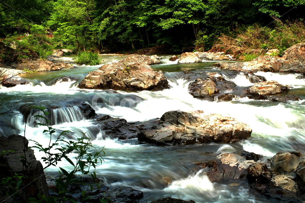 계곡,산,봄,여름,자연,여름,계절,summer,season,자연,풍경,nature,landscape,water,물,stream,흐름,creek,작은 만,outdoors,옥외