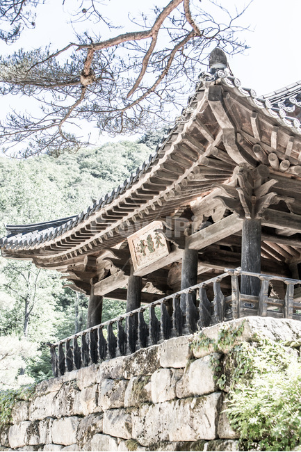 정자,누각,문화유산,문경세재,자연,전통,한국전통,한국문화,korean traditional,korean culture,건축물,건물외관,exterior,building,structure,architecture,construction