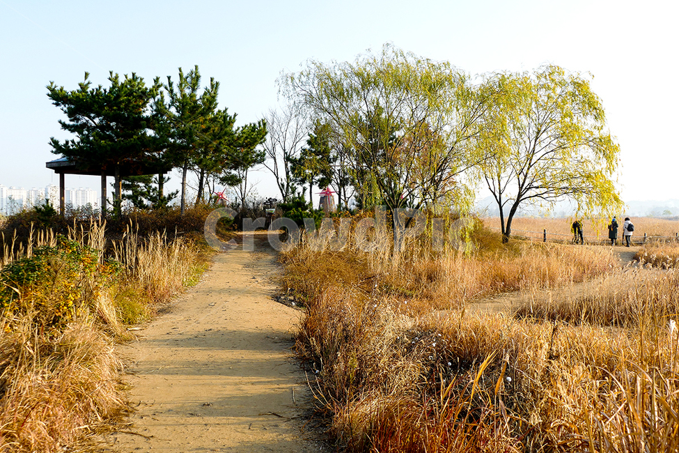 소래,소래습지생태공원,풍차,가을풍차,생태공원,습지갈대,가을,계절,fall,autumn,season,자연,풍경,nature,landscape