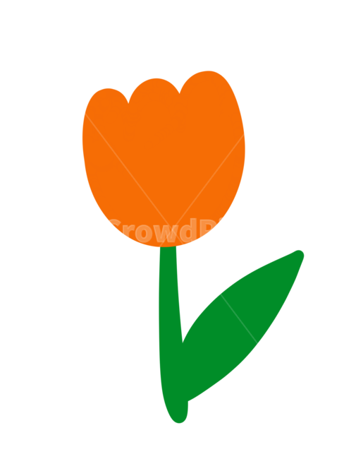 튤립일러스트,튤립,튤립그림,튤립손그림,tulip,tulipillust,tulipillustration,누끼,remove background