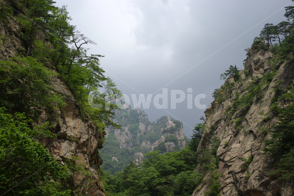산,바위,암석,풍경,나무,설악산,자연,풍경,nature,landscape,cliff,낭떠러지,outdoors,옥외