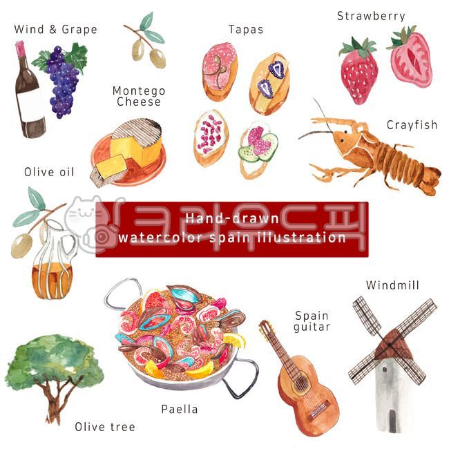 spanish food,fruit illustration,tapas,paella,Spanish wine,olive oil,Olive oil illustration,wine illustration,windmill illustration