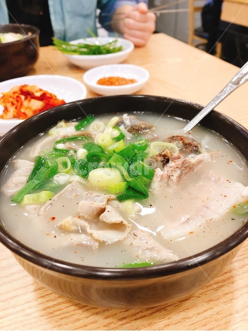 부산,돼지국밥,busan,국밥,korea,traditional