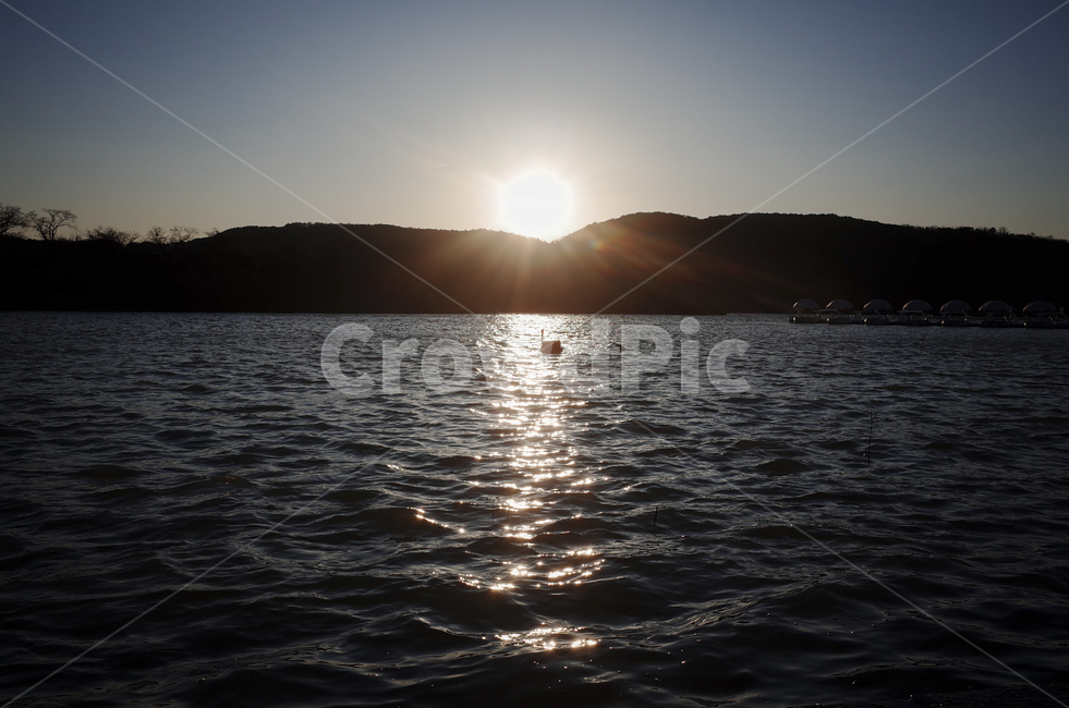 light,빛,flare,플레어,강,river,일출,일몰,sunset,sunrise
