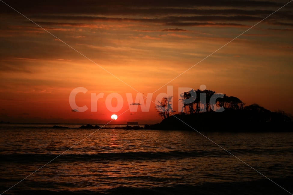 일출,아침,해,풍경,자연,자연,풍경,nature,landscape,실루엣,그림자,silhouette,shadow,outdoors,옥외,dusk,황혼,dawn,새벽,red sky,붉은 하늘,sky,하늘,sunset,일몰