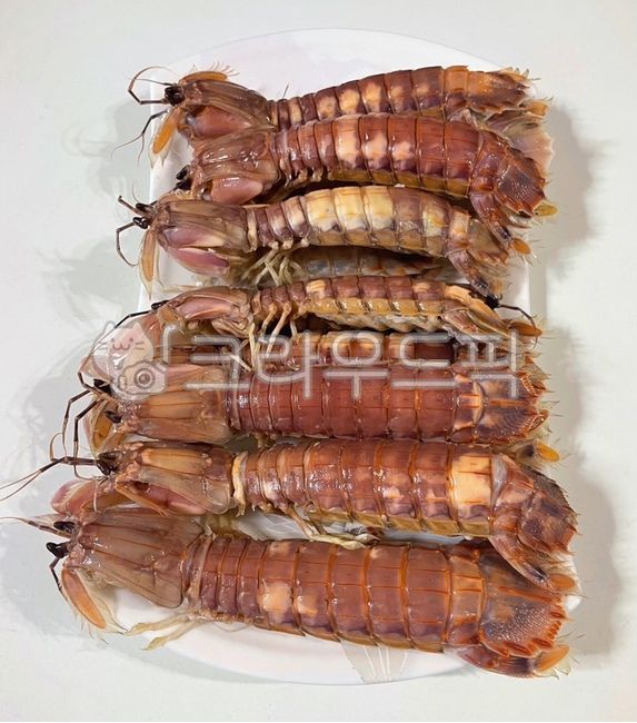 쏙,갯가재,쏙찜,갯가재찜,찜,찜요리,음식,요리,식사,식재료,해산물,수산물,제철,제철음식,봄,먹방,해양생물,해물,seafood,sealife,food,meal,cook,dish