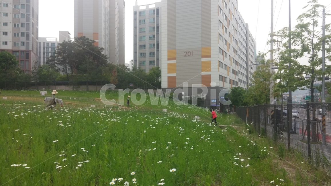 산책로,꽃밭,허수아비,아파트단지,잔디,들꽃,flowerbed,trail,apartmentcomplex,scarecrow,grass,apartment,인간,human,사람,person,식물,plant