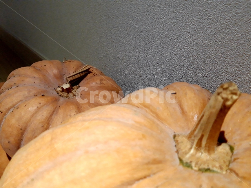 호박,늙은호박,수확,식재료,채소,음식,식품,야채,pumpkin,food,cook,meal,음식,식재료,요리,food,cook,meal,dishes,food reserves,채소,야채,vegetables