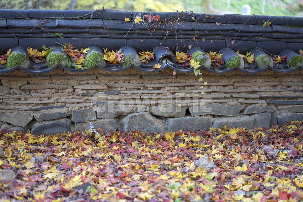 절,단풍,마곡사,가을단풍,가을,공주,공주마곡사,가을,계절,fall,autumn,season,한국전통,한국문화,korean traditional,korean culture,건축물,건물외관,exterior,building,structure,architecture,construction