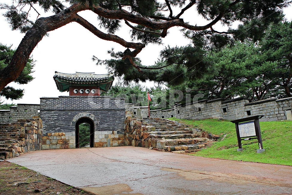 수원화성,서,성곽,길,둘레길,돌담,담,가을,자연,풍경,벽,방어벽,전통,흙담,식물,한국전통,한국문화,korean traditional,korean culture,건축물,건물외관,exterior,building,structure,architecture,construction