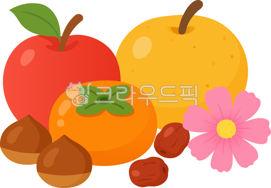 Fruit,fruit illustration,Chuseok,fall,fall fruits,bountiful Chuseok,holiday fruits,chestnuts,apples,fruit collection,pears,persimmons,jujubes,chestnuts,fall food,Thanksgiving,food,cosmos,fall fruits,fruit,apple,persimmon,jujube,flow