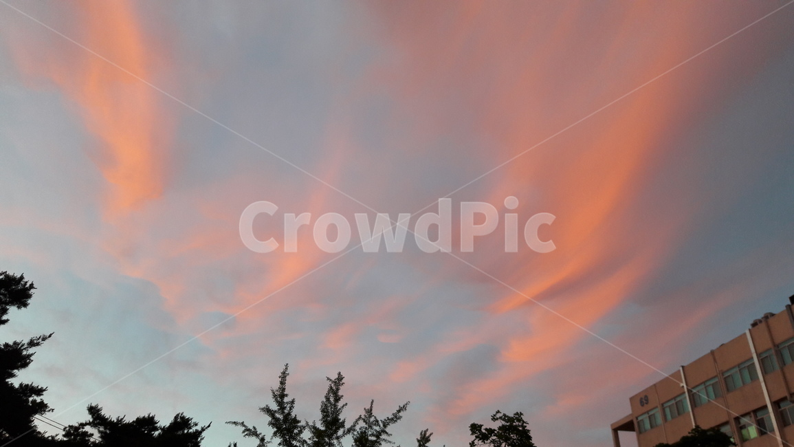 하늘,저녁하늘,분홍빛하늘,해질녘,구름,노을,해질녘하늘,해질녘구름,sky,sunset,석양,cloud