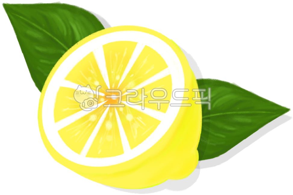 레몬,레몬그림,과일,레몬이이지,상큼한과일
