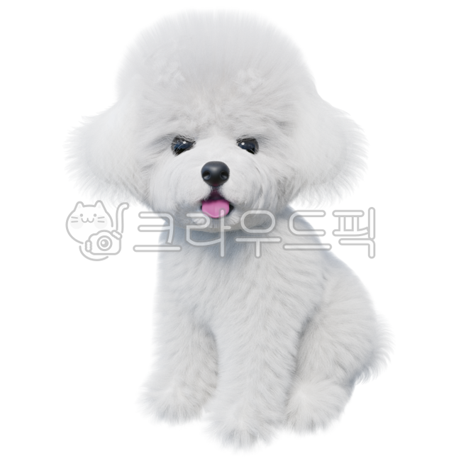 강아지,반려견,반려동물,비숑,비숑프리제,푸들,하얀강아지,dog,bichonfrise,강아지인형