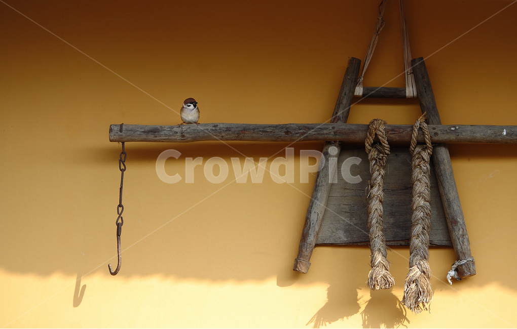 초가집,참새,지게,풍경,오후,시선,한국전통,한국문화,korean traditional,korean culture,동물,animal,조류,새,birds,사물,물건,오브젝트,thing,object,matter