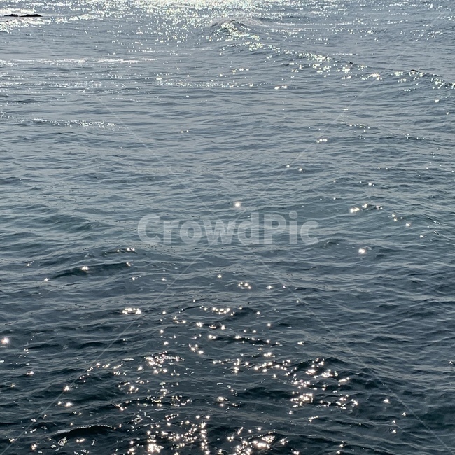 제주,제주바다,제주도,바다,해변,자연,풍경,nature,landscape,water,물,outdoors,옥외
