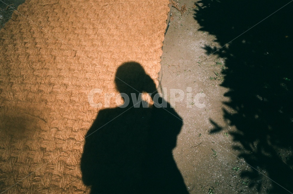 그림자,여자,감성사진,실루엣,필름사진,햇빛,나뭇잎,사람,인물,인간,human,person,인물실루엣,사람실루엣,character silhouette,human silhouette,감성,sensible,feeling