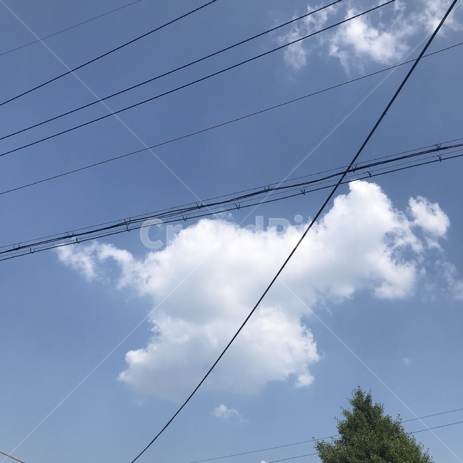 하늘,구름,전깃줄,배경,작은