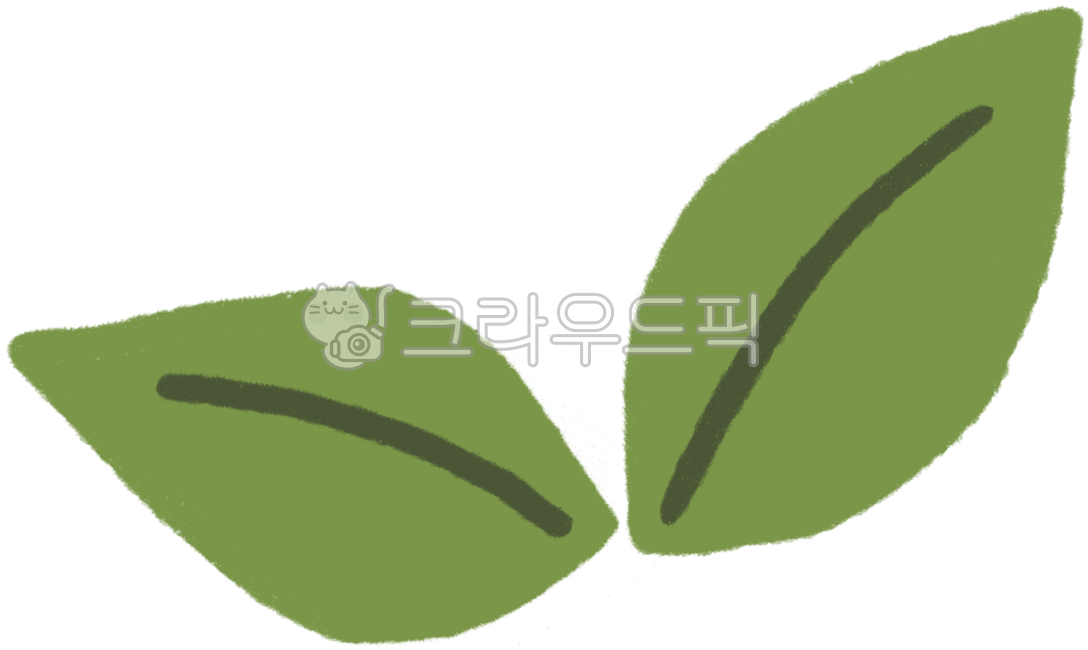 잎, 녹색잎, 식물, 나뭇잎, 나뭇잎일러스트, 사진,이미지,일러스트,캘리그라피 - 걍조아작가
