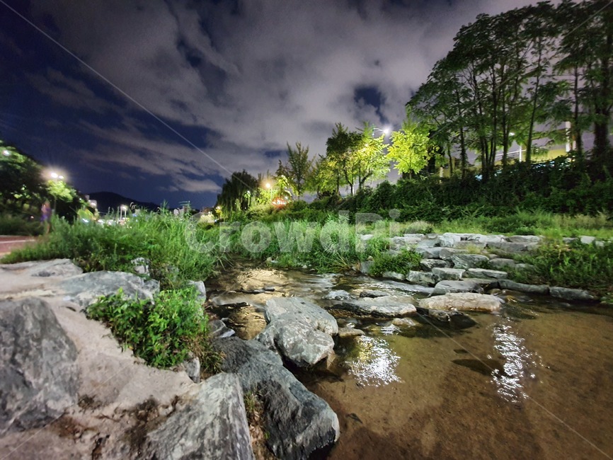 nature,자연,water,물,outdoors,옥외,하천,밤,풍경,야간,night,tree,나무