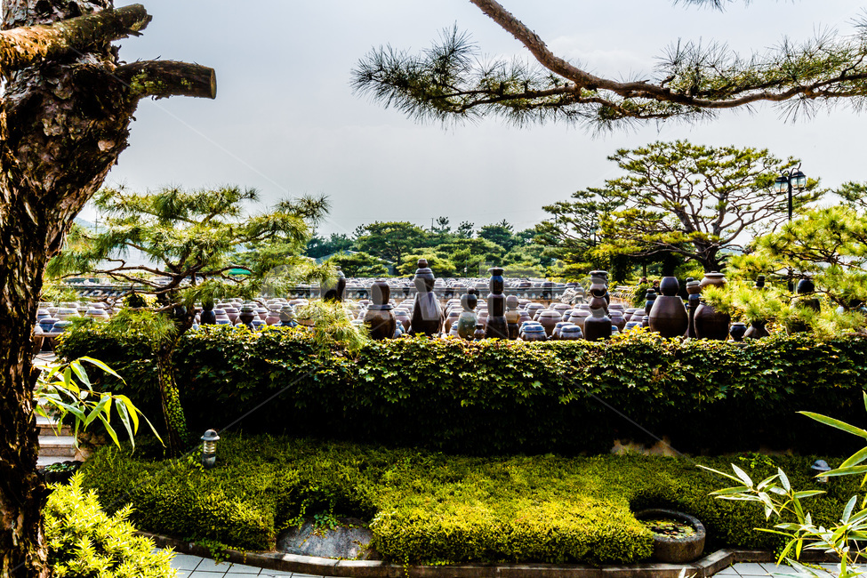 장독대,전통,문화,옹기,항아리,한국전통,한국문화,korean traditional,korean culture