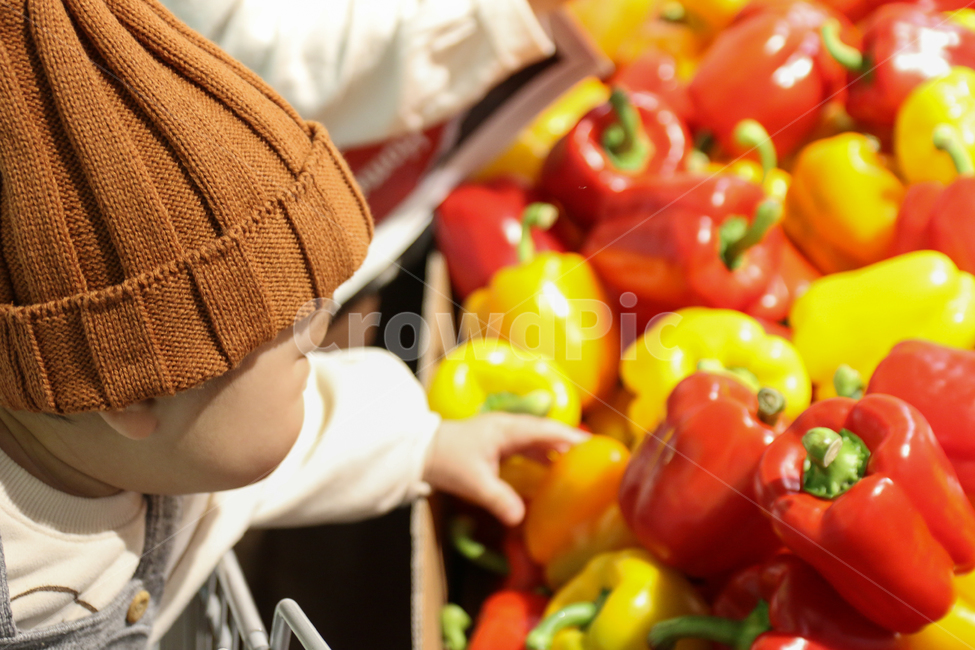 아기,쇼핑,야채,채소,장보기,남자아기,남자아이,대형마트,라이프스타일,마트,슈퍼마켓,야채코너,아이,귀여운,사랑스런,시장,식재료,식자재,농산품,음식,식품,구매,신선한,선별,선택,파프리카,피망,노란색,빨간색,빨강,노랑,사람,인물,인간,human,person,영유아,아기,애기,아이,infants,baby,쇼핑,shopping,채소,야채,vegetables