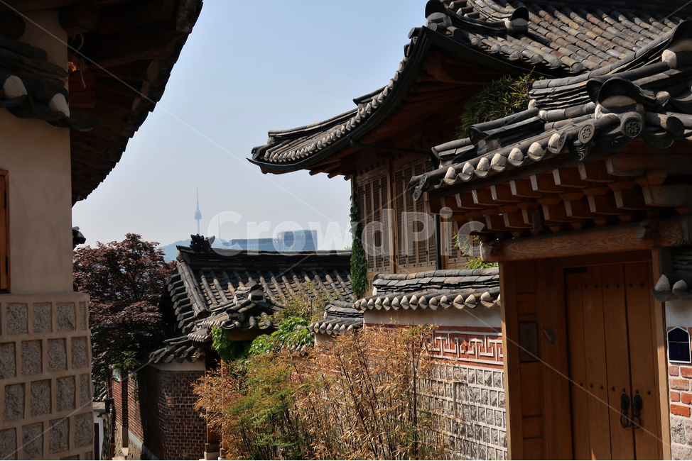 전통,빈티지,한옥,북촌,서울,집,디자인,창문,건축,건축물,스타일,주택,기와,지붕,처마,고풍,전통미,가옥,골목,화단,풍경,한국전통,한국문화,korean traditional,korean culture,건축물,건물외관,exterior,building,structure,architecture,construction