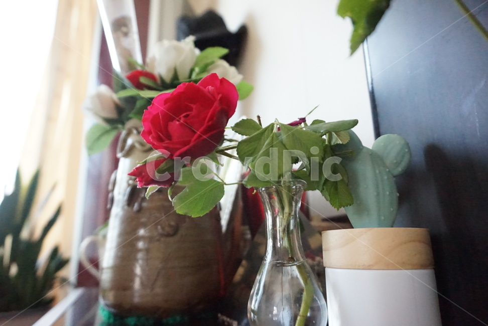 장미,빨간꽃,redrose,꽃송이,flower,bloom