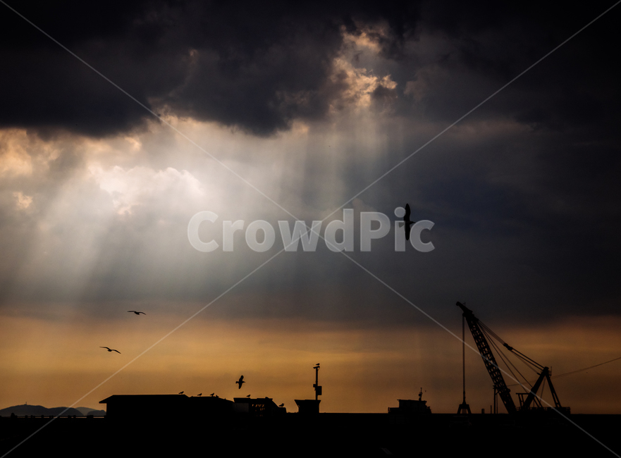 개발,파괴,새,쉼터,기계,이기,자연,풍경,실루엣,그림자,silhouette,shadow,산업,industry,industrial
