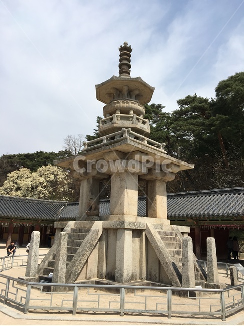경주,불국사,다보탑,명절,신라,불교,석탑,조각상,동상,석상,랜드마크,조형물,한국전통,한국문화,건축물,돌,문화유산,statue,bronzestatue,stonestatue,landmark,temple,koreatraditional,structure,구조,구조물,touristattraction,korealandmark,religion,belief,faith,종교,신앙,한국명소,한국관광지