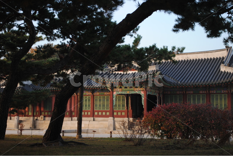 창덕궁,changdeokgung,palace,서울,seoul,건축물,architecture,건물,한국전통,한국문화,korean traditional,korean culture