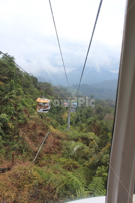 케이블카,cablecar,산,숲,forest,자연,하늘,sky,nature,high,고공