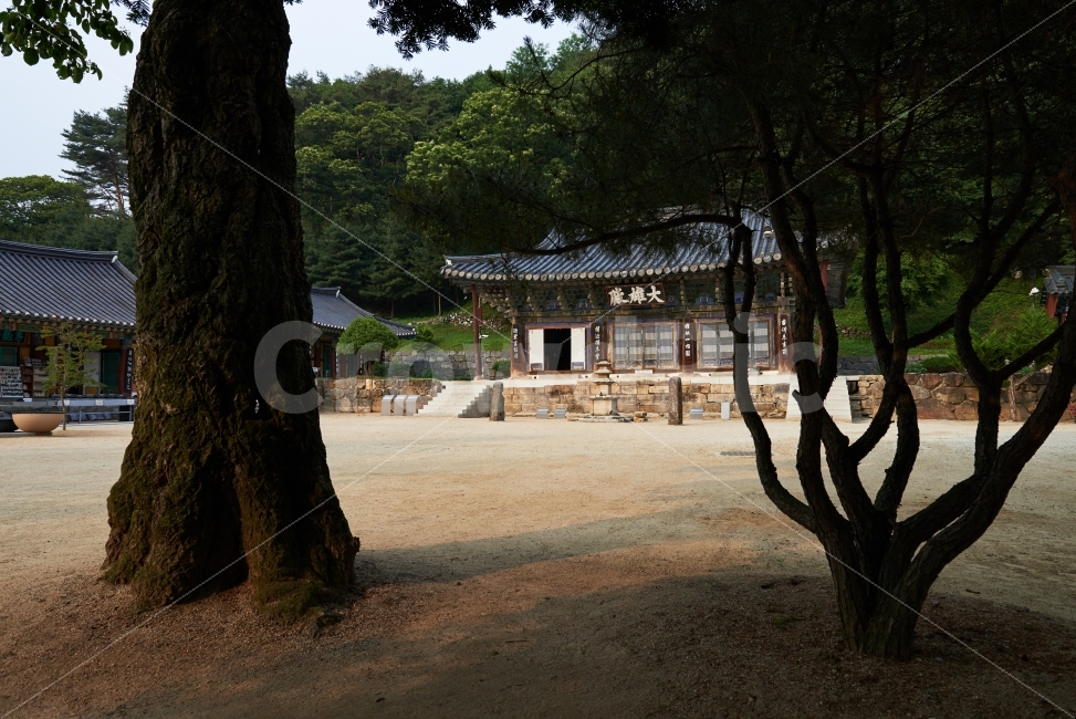 사찰,경기도,안성,청룡사,서운산,명본국사,1265년,대장암,1364년,나옹화상,대웅전,다포계,팔작집,고려말,공민왕,고려시대,삼층석탑,곡선나무기둥,한국전통,한국문화,korean traditional,korean culture,종교,신앙,religion,belief,faith