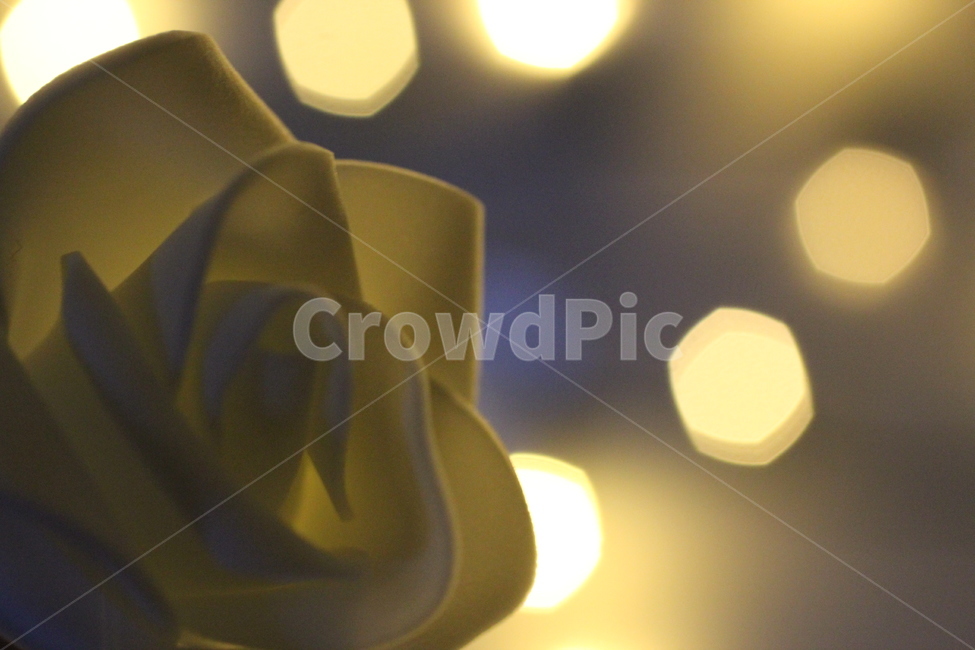 꽃,flower,조명,lighting,플레어