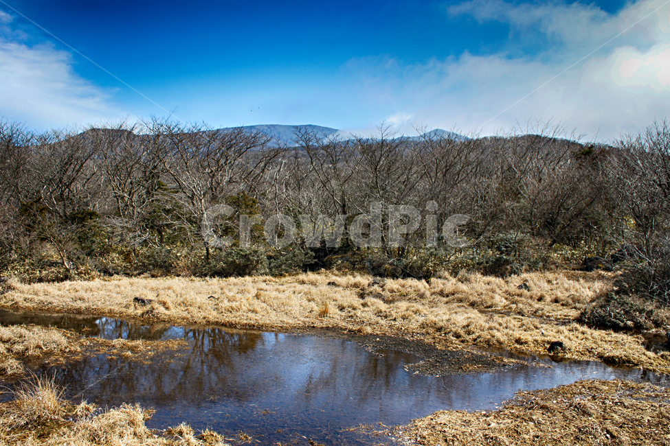 한라산1100고지,람사르습지,outdoors,옥외,nature,자연,파란하늘,흰구름,자연,풍경,nature,landscape