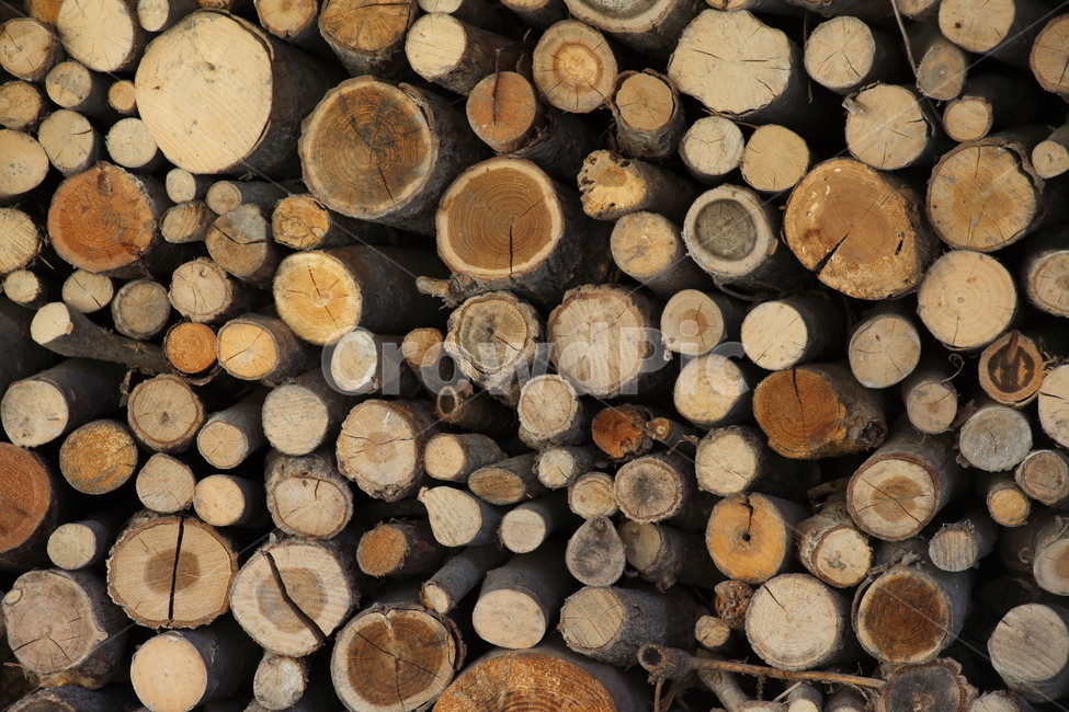 나무,장작,단면,땔감,wood,나무,trees,wood