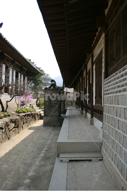 한국,전통가옥,고택,한옥,기와,지붕,기와지붕,돌담,한국전통,한국문화,korean traditional,korean culture,건축물,건물외관,exterior,building,structure,architecture,construction