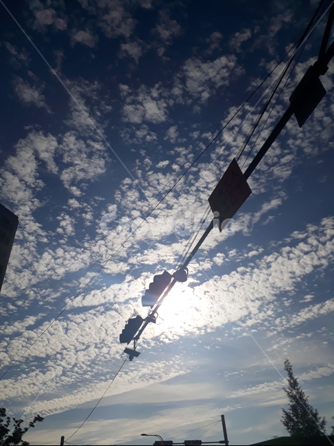 하늘,구름,신호등,햇빛,풍경