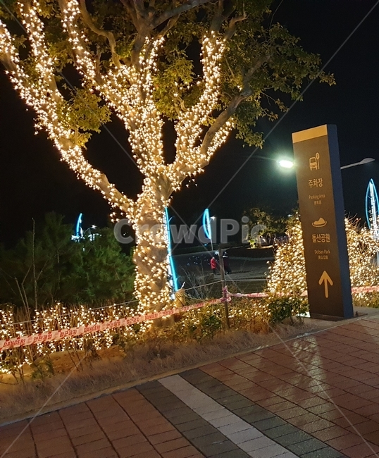 조명,야경,여수,나무,불빛,가로등