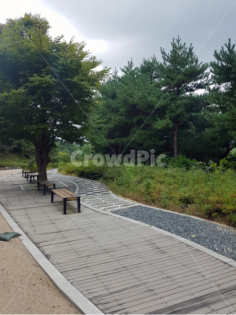 통로,path,보도,산책길,산책로,가을,가을산,산책,숲속,오솔길,가을풍경,산,계절,감성,풍경,배경,자연,풍경,nature,landscape,나무,trees,wood,flagstone,판석,walkway