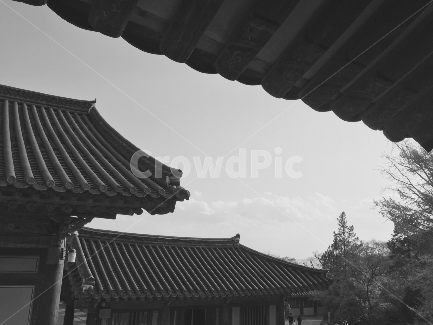 흑백,경주,불국사,한옥,오후,한국전통,한국문화,korean traditional,korean culture,종교,신앙,religion,belief,faith,흑백,모노톤,monochrome,black and white