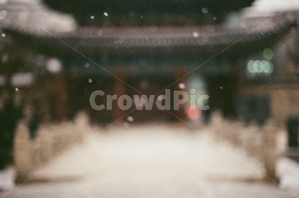 눈,겨울,창경궁,전통,감성사진,서울,대한민국,필름사진,눈입자,겨울사진,몽환,따뜻한,풍경,고요한,아늑한,snow,winter,tradition,film,sensitive,warm,landscape,cozy,korea,seoul,겨울,계절,winter,season,한국전통,한국문화,korean traditional,korean culture,랜드마크,landmark,tourist attraction,한국랜드마크,한국관광지,한국명소,korea landmark,korea tourist attraction,감성,sensible,feeling