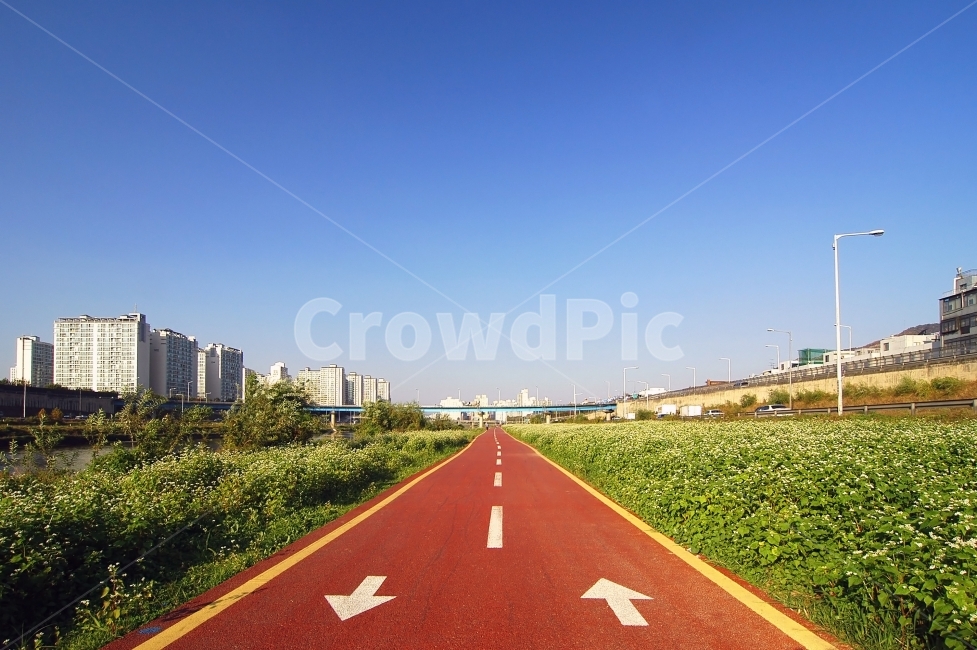 자전거전용도로,도로,화살표,풍경,강변,아파트,빌딩,도시,자전거,도시,풍경,city,landscape,한국도시풍경,한국도시경관,korea cityscape,스포츠,레저,운동,sports,leisure,exercise,교통,교통수단,traffic,transportation,road,asphalt,아스팔트,highway,고속도로,freeway,고속 도로