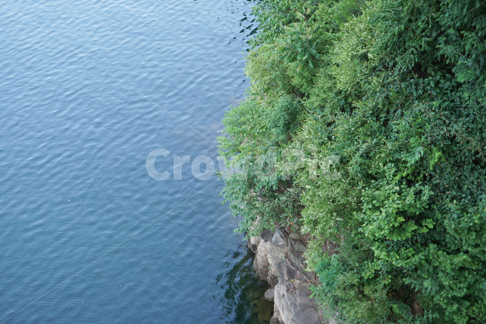 호수,자연,지구,나무,환경,자연환경,푸른,water,물,nature,산막이엣길,풍경,자연보호,식목일,여름