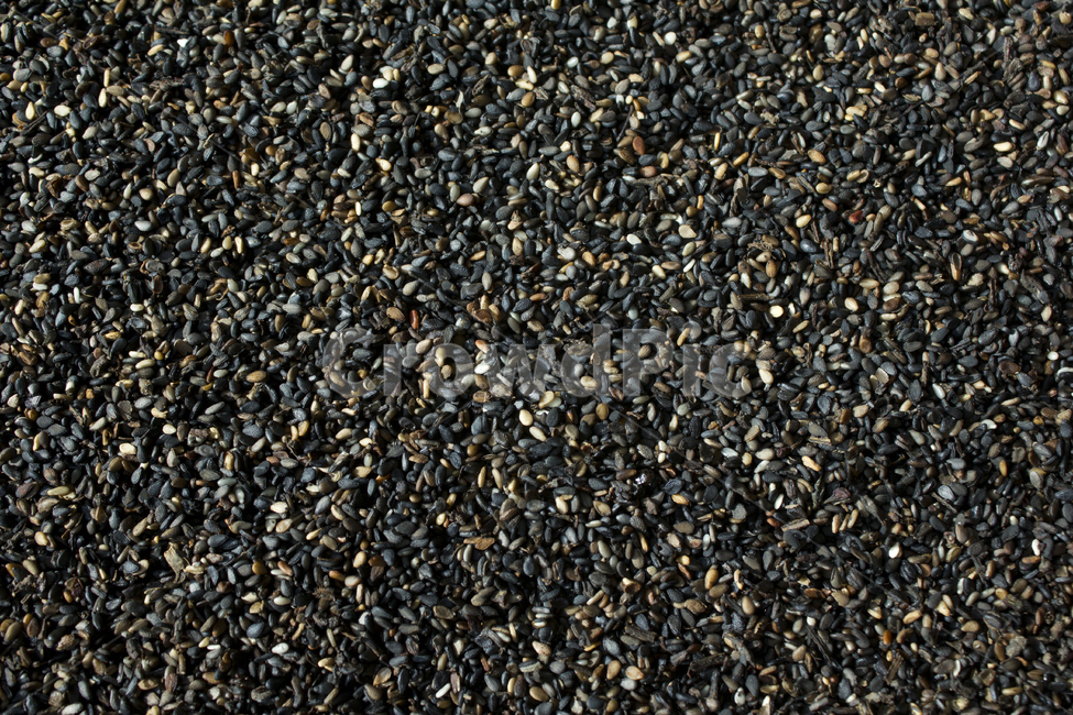 closeup,dry,dummy,food,grain,macro,meal,natural,nature,organic,plant,seed,seeds,sesame,sesameseed,sesameseeds,top,topangle,topview,깨,참깨,곡식,곡류,음식,음식재료,식재료,식물,씨앗,씨,말린,말리는,건조,자연,클로즈업,탑앵글,탑뷰,깨소금,농작물,농촌,농사,검정,블랙,검은색,black,검은깨,음식,식재료,요리,food,cook,meal,dishes,food reserves,곡류,곡식,cereals