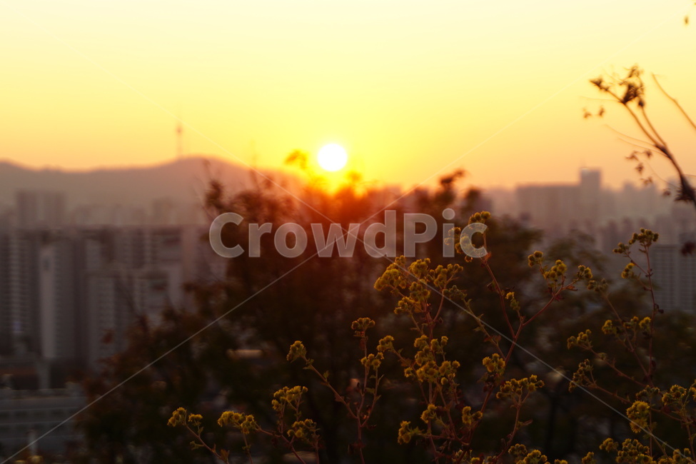 nature,자연,light,빛,outdoors,옥외,sky,하늘,서울노을,서울황혼,seoul,seoulsunset,orangeseoul,mountainseoul,서울산,산,해,sun,아파트,붉은하늘,redsky