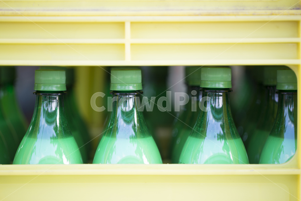 막걸리,탁주,발효주,곡주,한국전통주,술,주류,술병,박스,술,주류,alcohol